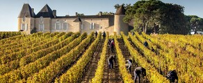 Vigneti di Bordeaux: esperienza in elicottero