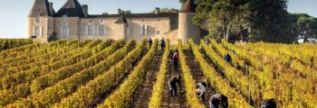 tour vigneti italiani elicottero