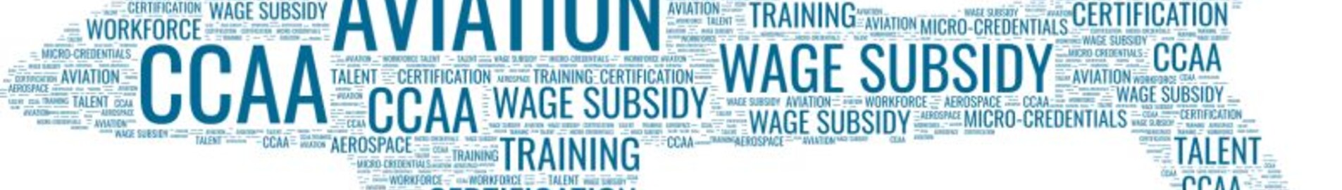 Glossario completo dell’aviazione d’affari: AEROAFFAIRES