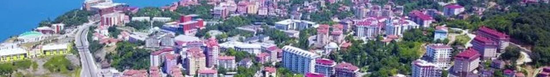 Zonguldak: noleggio di jet privati