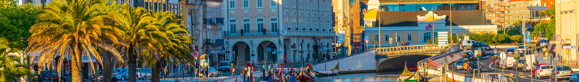 Porto (Aveiro): noleggio di jet privati